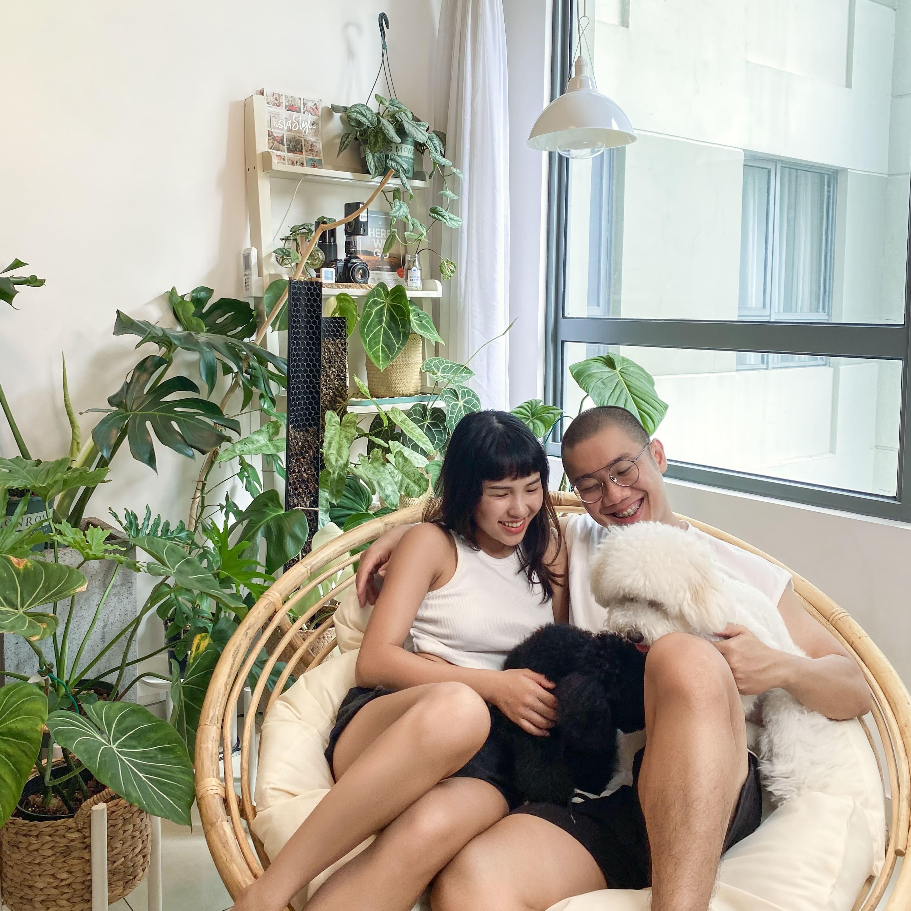 sống thử ảnh 1 song thu anh 1