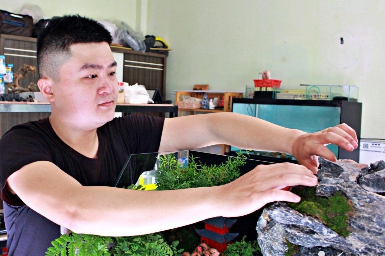 Chi tien trieu mang ca rung cay, nui non vao nha hinh anh