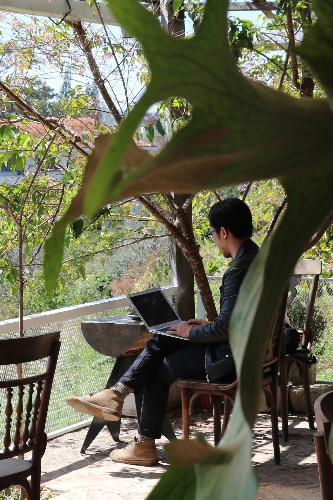 Tết nguyên đán ảnh 2 Tet nguyen dan anh 2