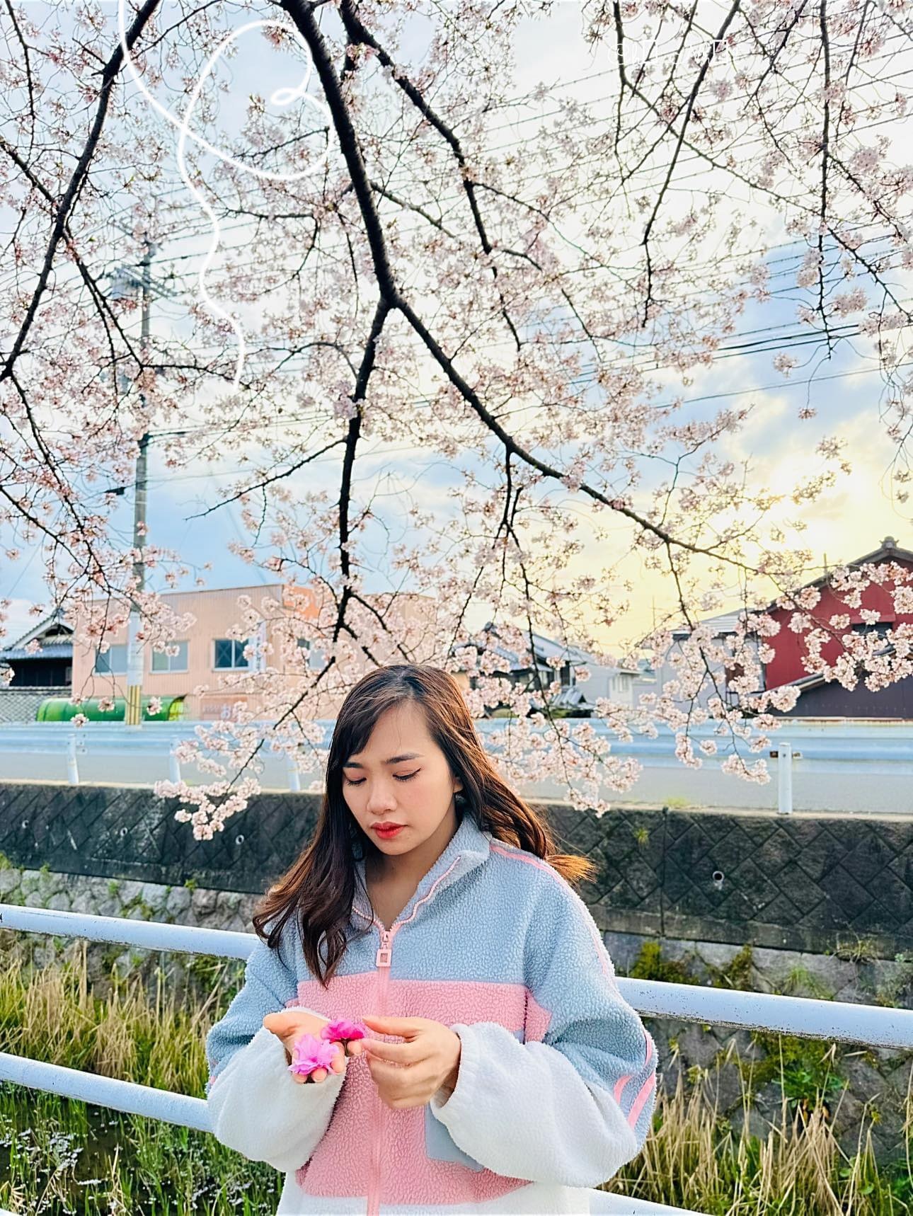 phau thuat tham my anh 1