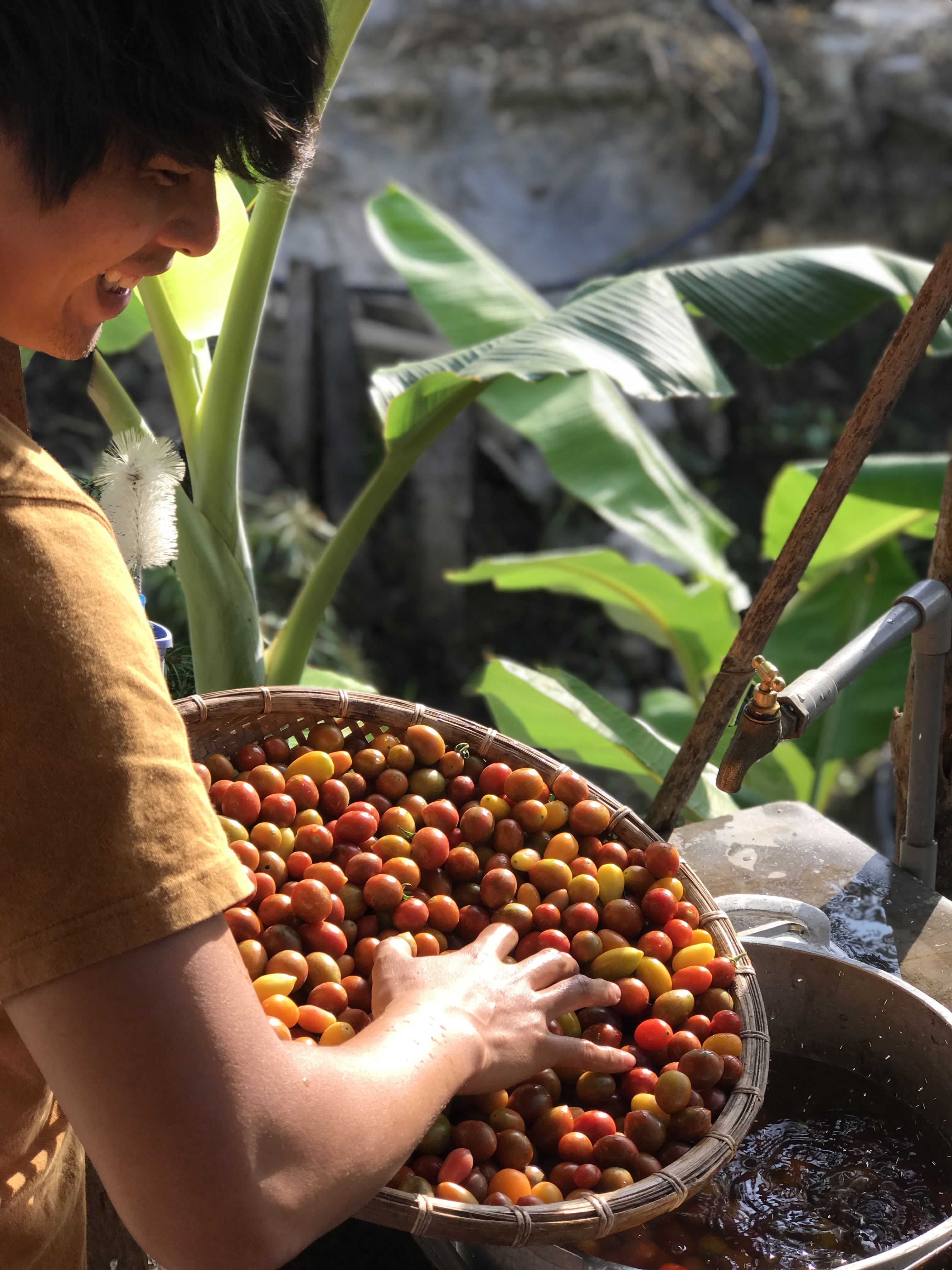 Về quê ảnh 9 Ve que anh 9