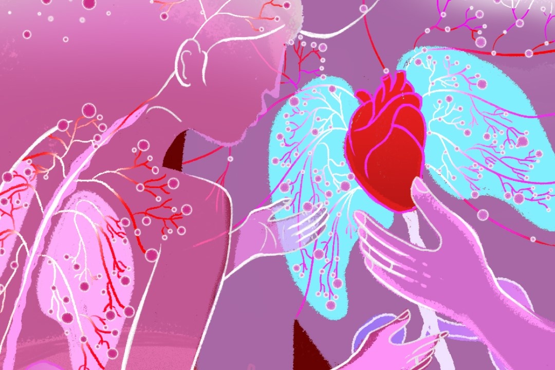 Vo chong toi cung dang ky hien tang hinh anh