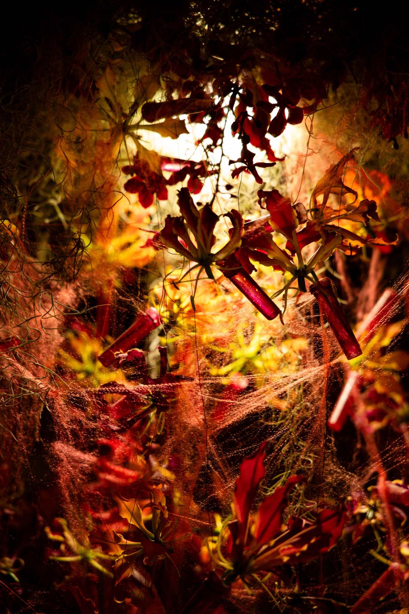 O The Body of Art anh 17