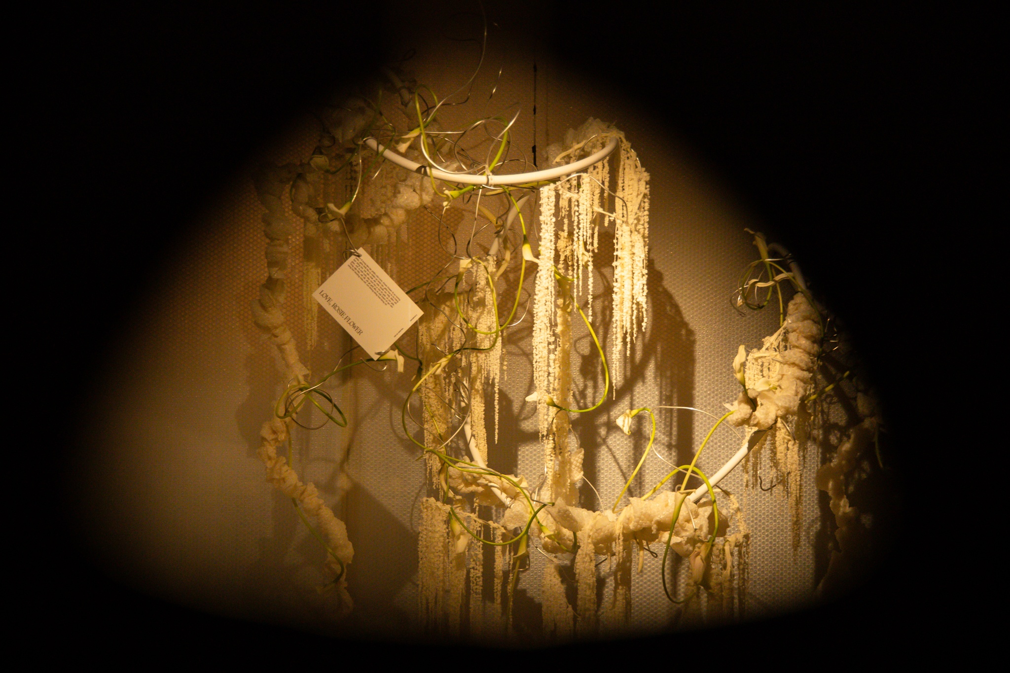 O The Body of Art anh 15