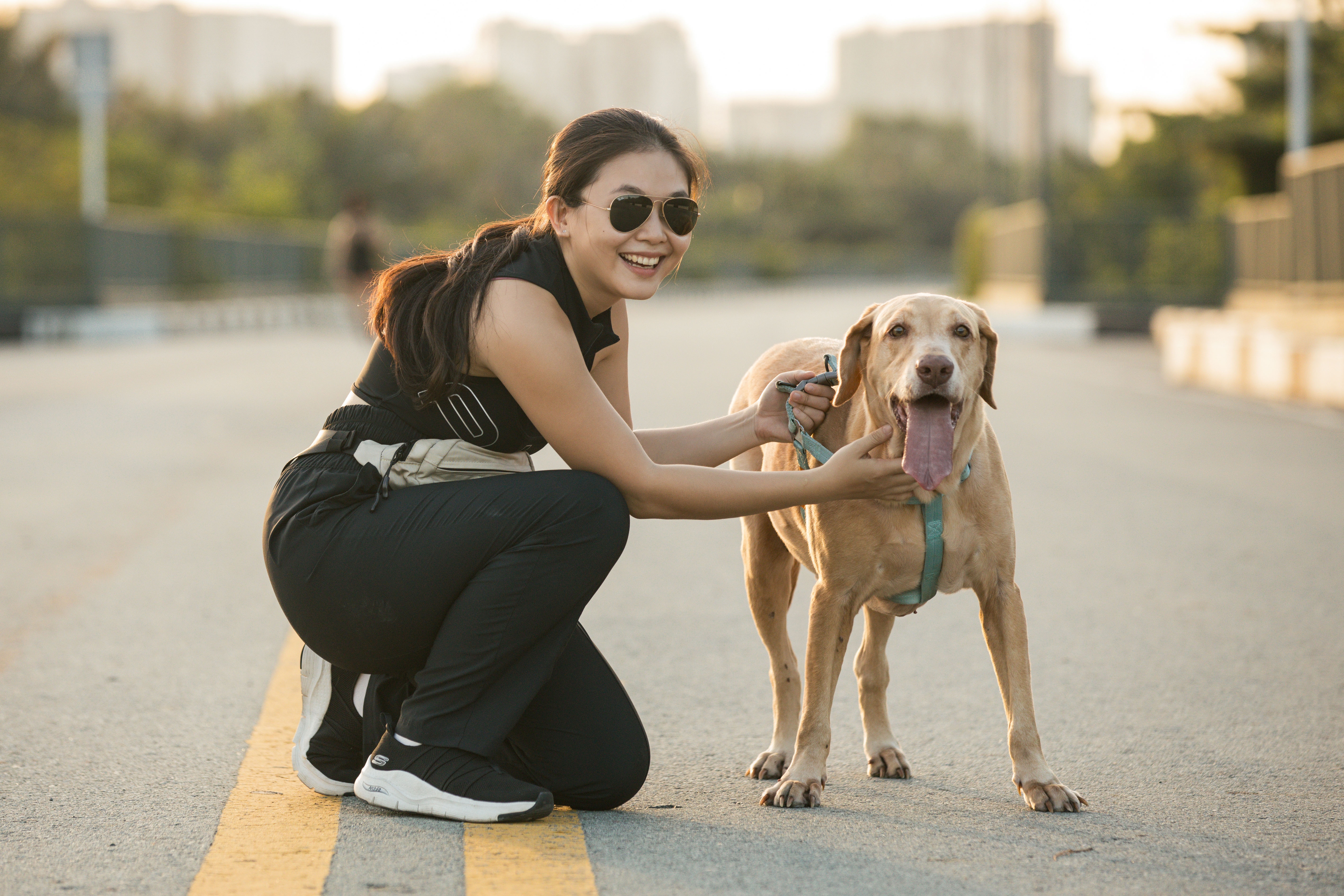 the championz,  chay bo anh 2