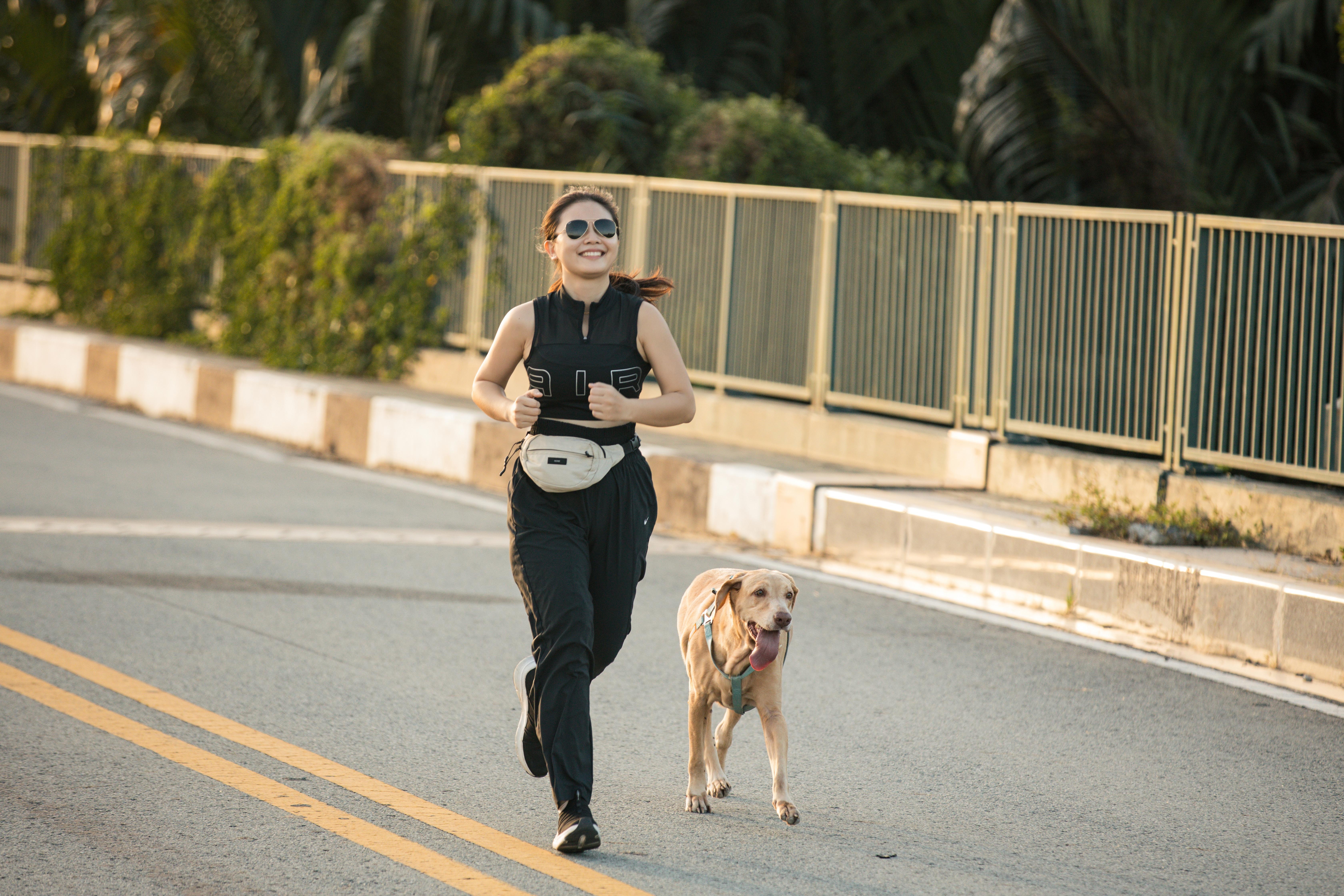 the championz,  chay bo anh 3