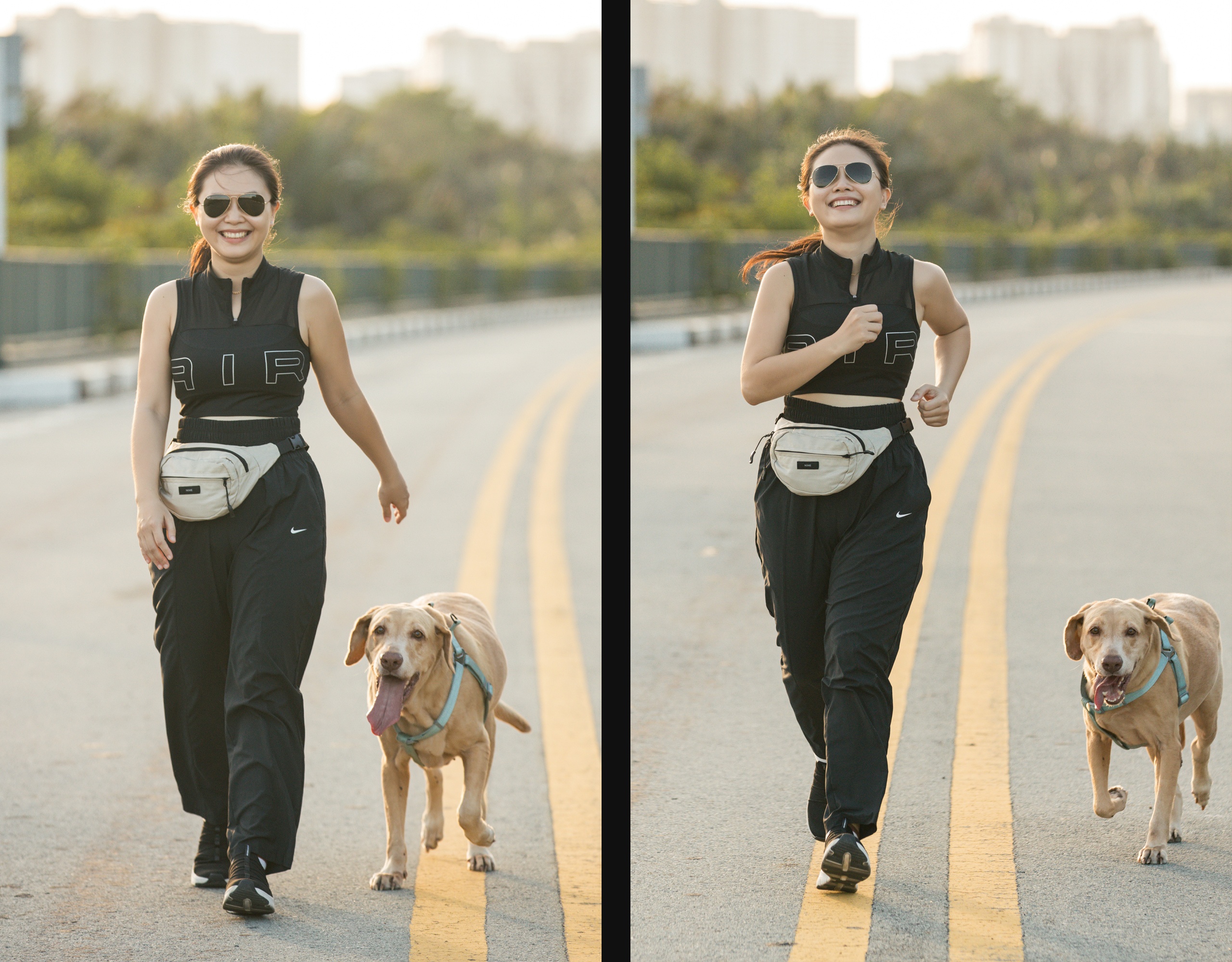 the championz,  chay bo anh 5