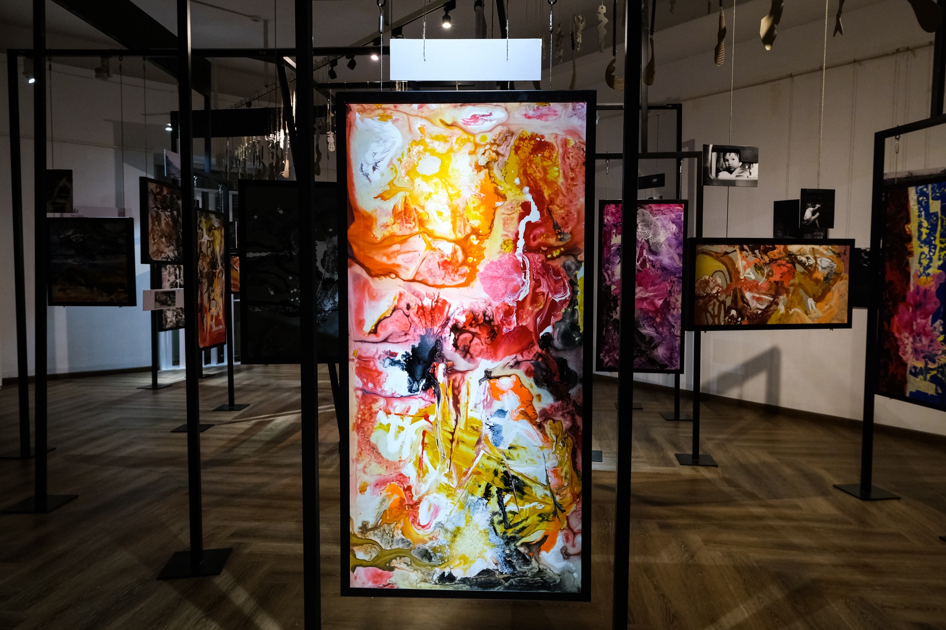 trien lam,  bao tang my thuat,  nguyen duy nhut anh 11