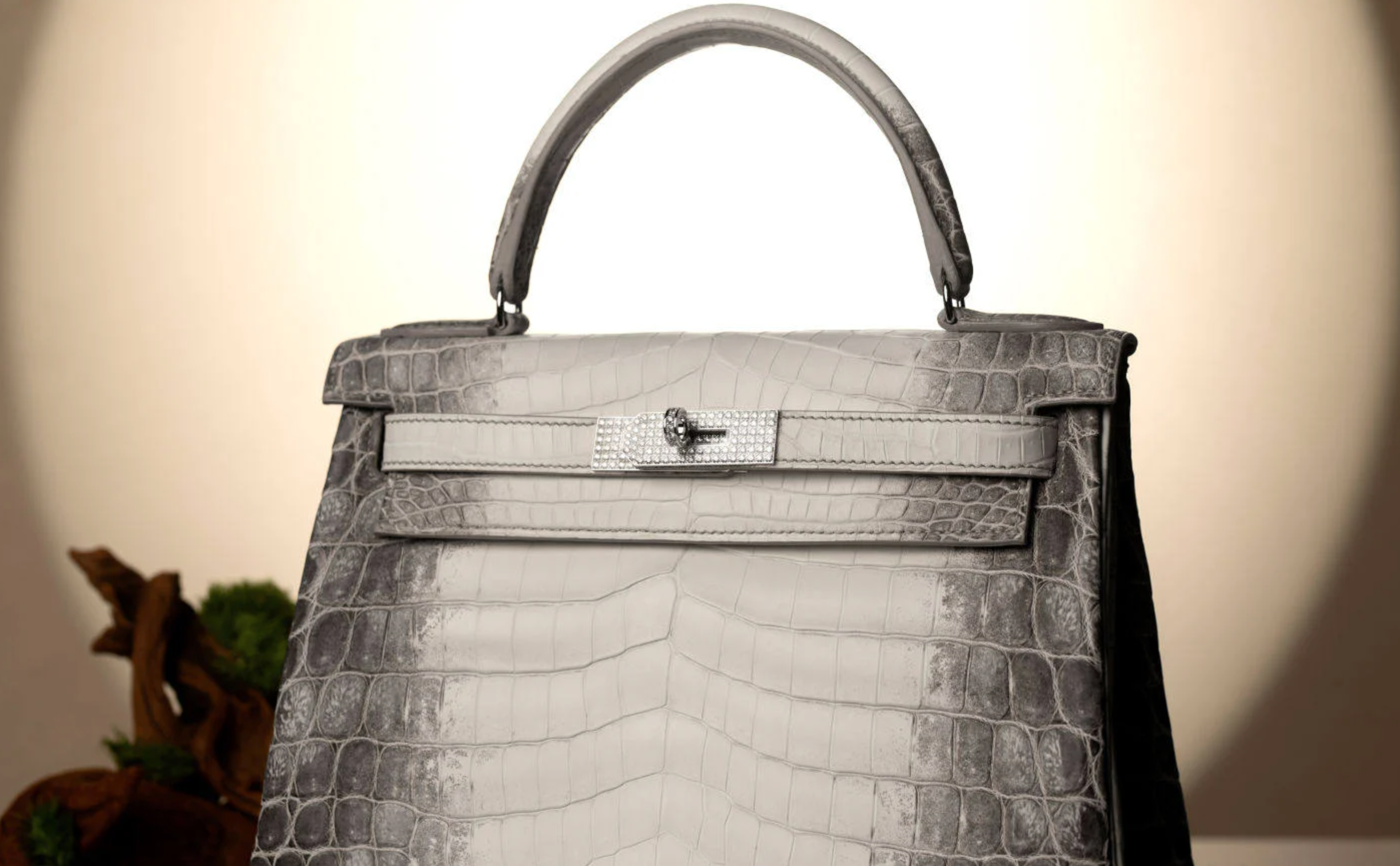 tui xach,  dat nhat the gioi,  tui birkin anh 8