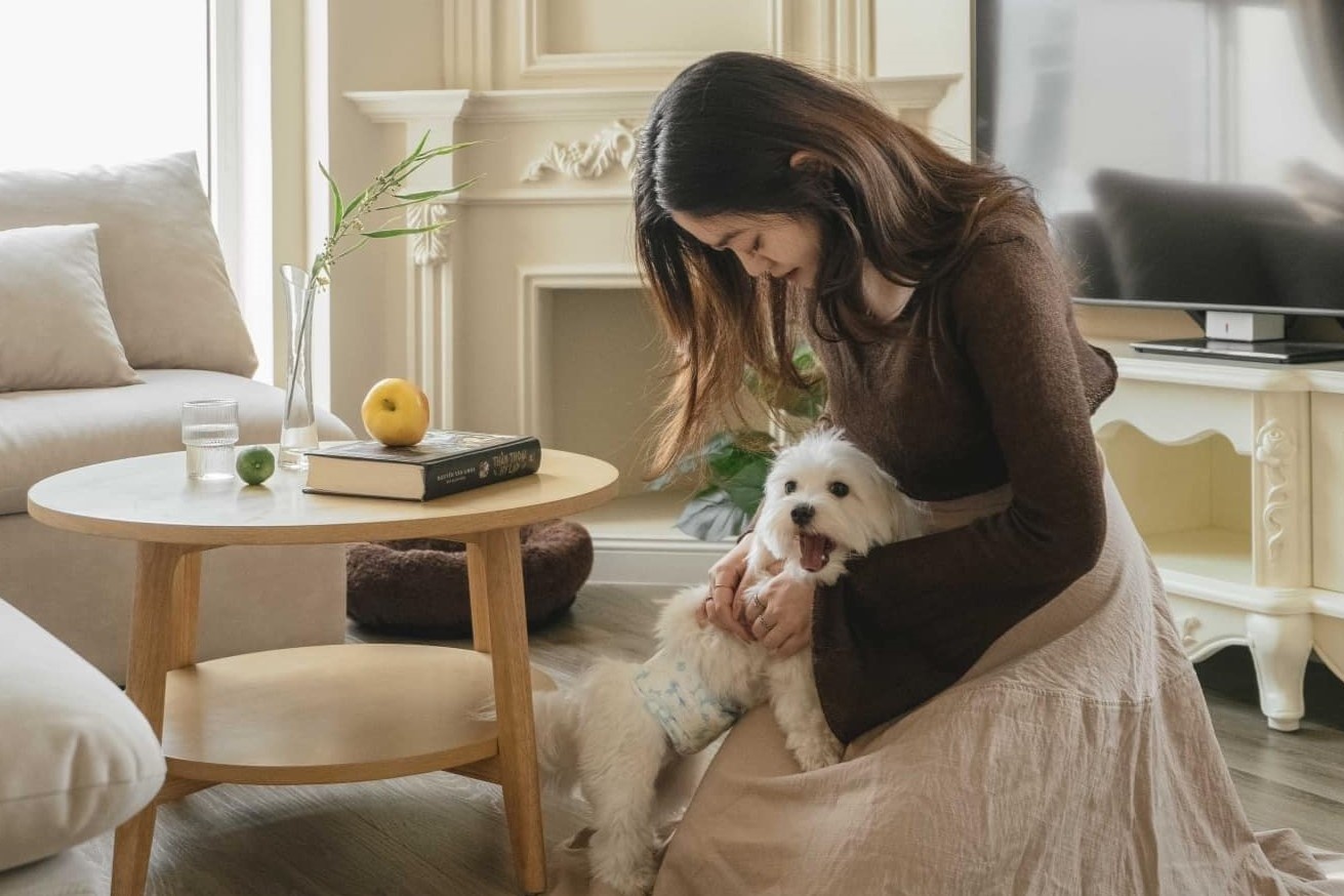 Benh vien thu y quoc te o Ha Noi bi to tac trach, gay chet vat nuoi hinh anh