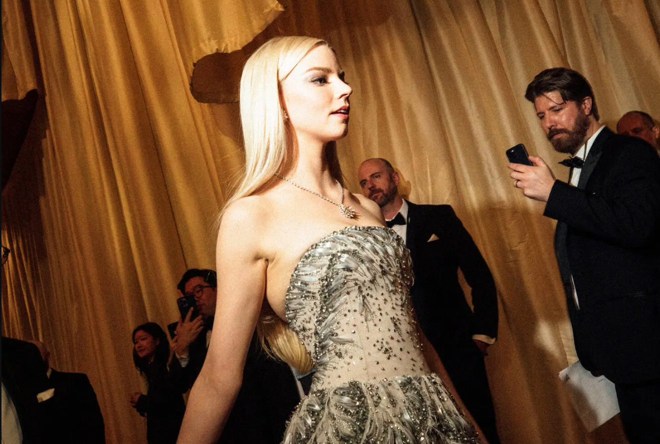 oscar 2024,  le trao giai oscar,  tham do oscar,  trang suc oscar,  Bulgari,  Chopard,  Cartier anh 3