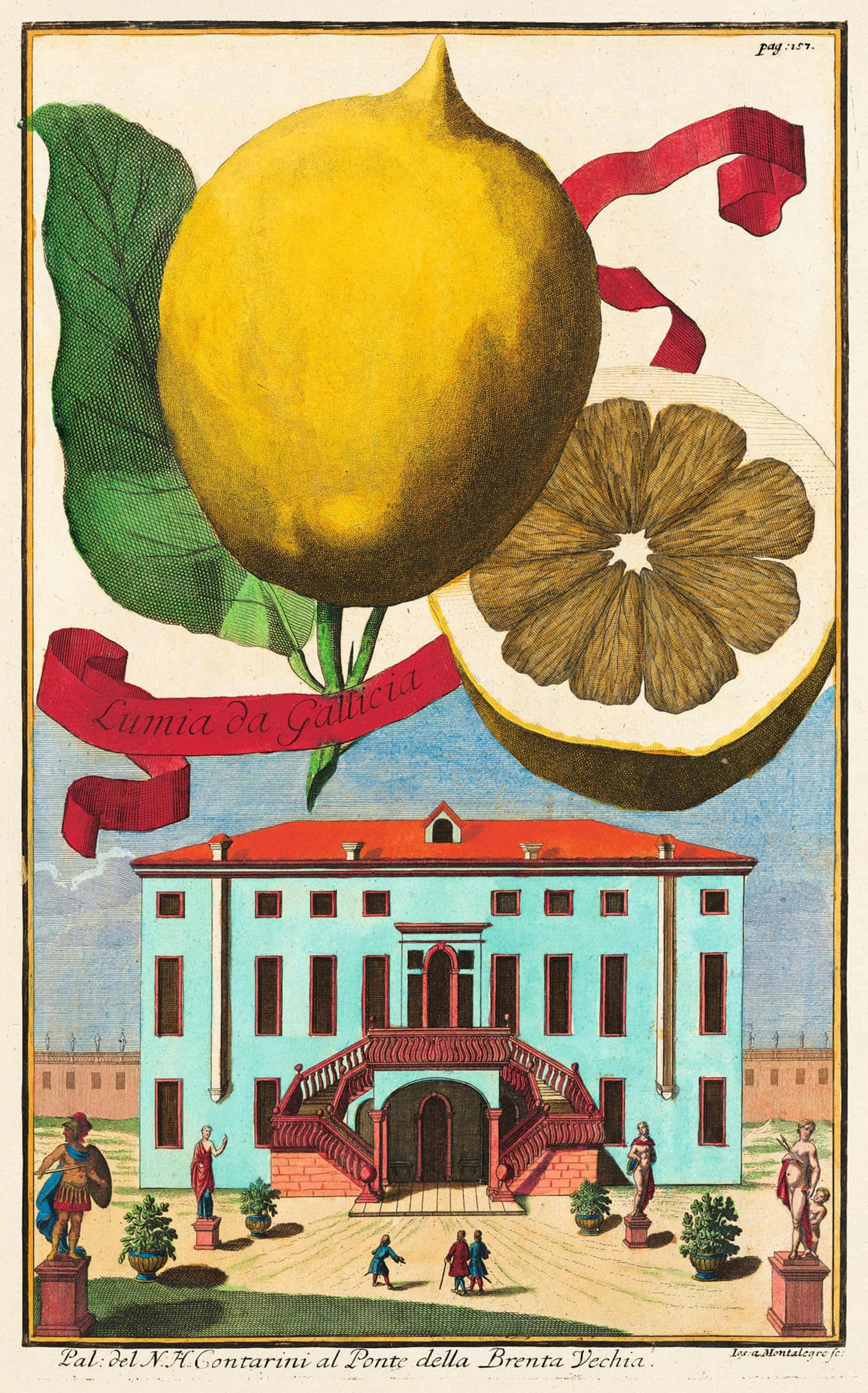 trai chanh,  qua chanh vang,  buc tranh tuong,  lang mo Nakht,  tranh tinh vat anh 3