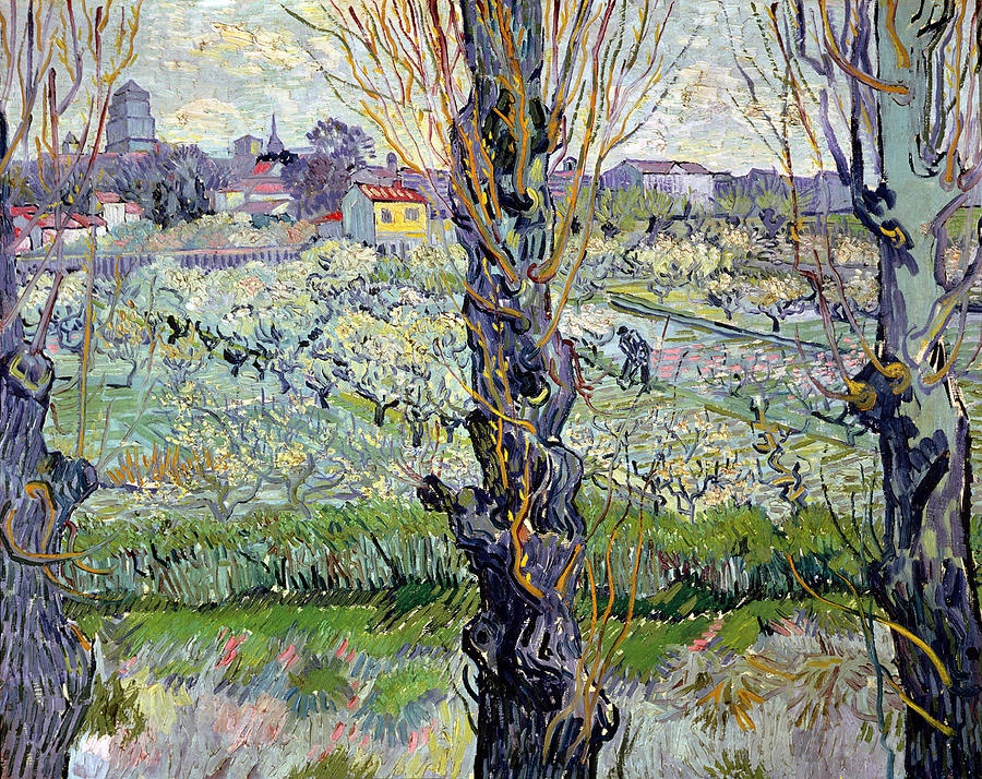 van gogh cat tai,  van gogh tu sat,  Orchard in Blossom,  View of Arles,  Peach Trees in Blossom anh 4