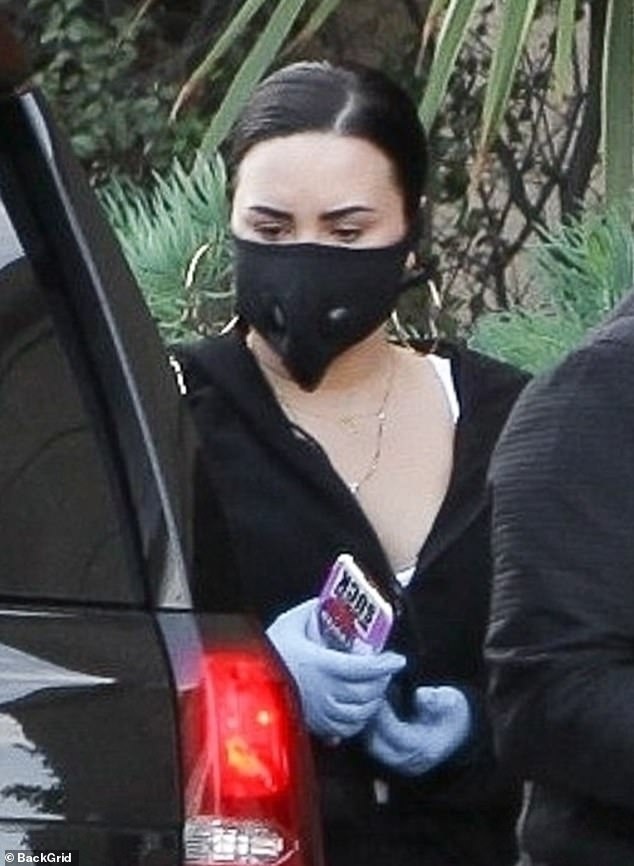 Demi Lovato ảnh 1 Demi Lovato anh 1