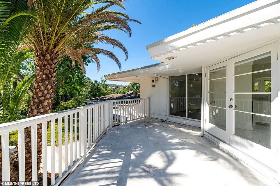 Zendaya Maree Stoermer Coleman anh 7