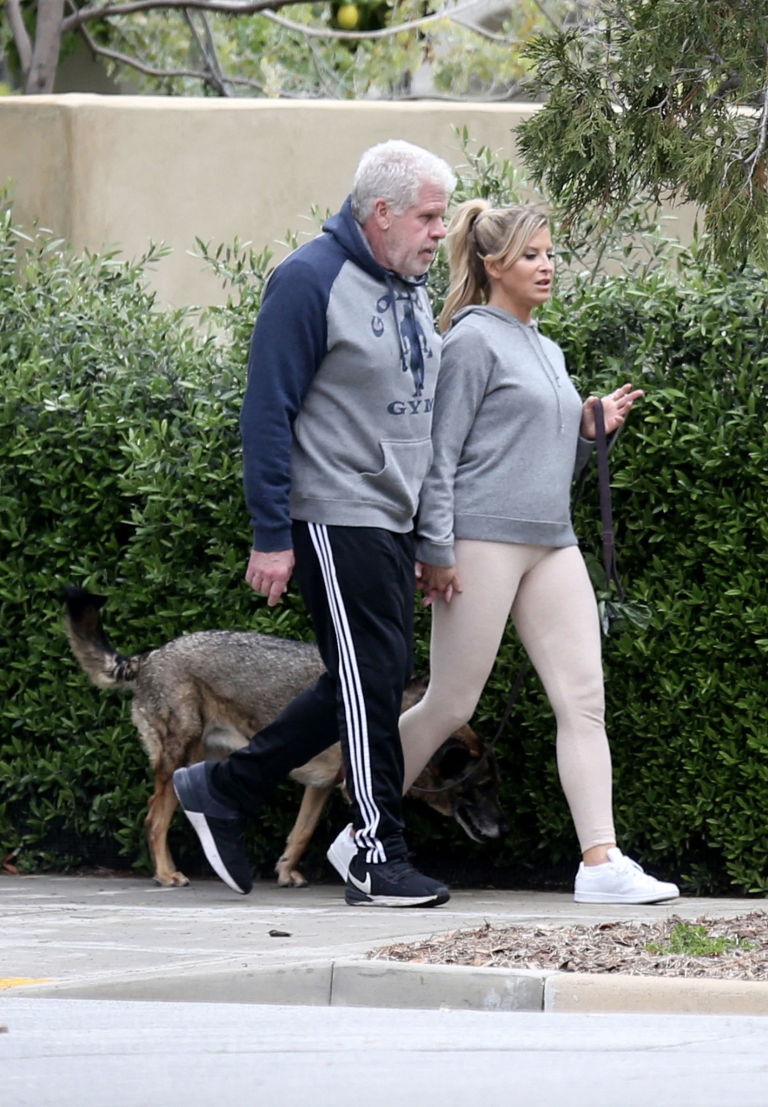 Ron Perlman ảnh 1 Ron Perlman anh 1