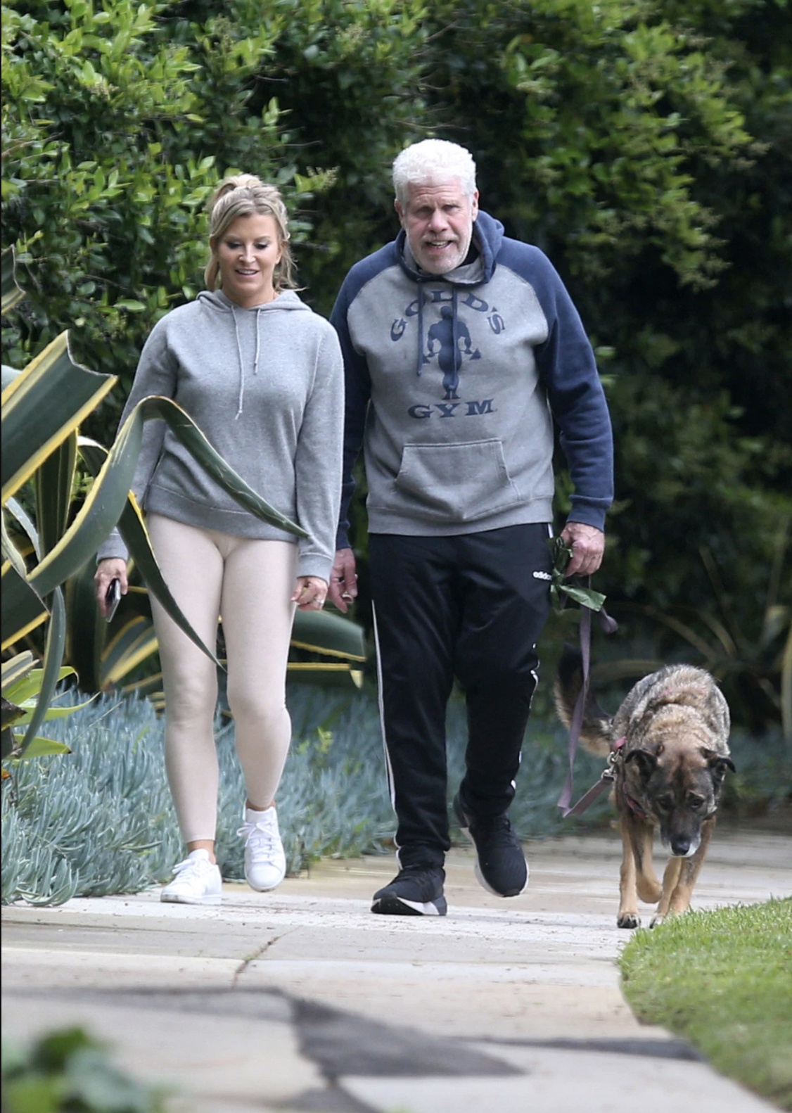 Ron Perlman ảnh 2 Ron Perlman anh 2