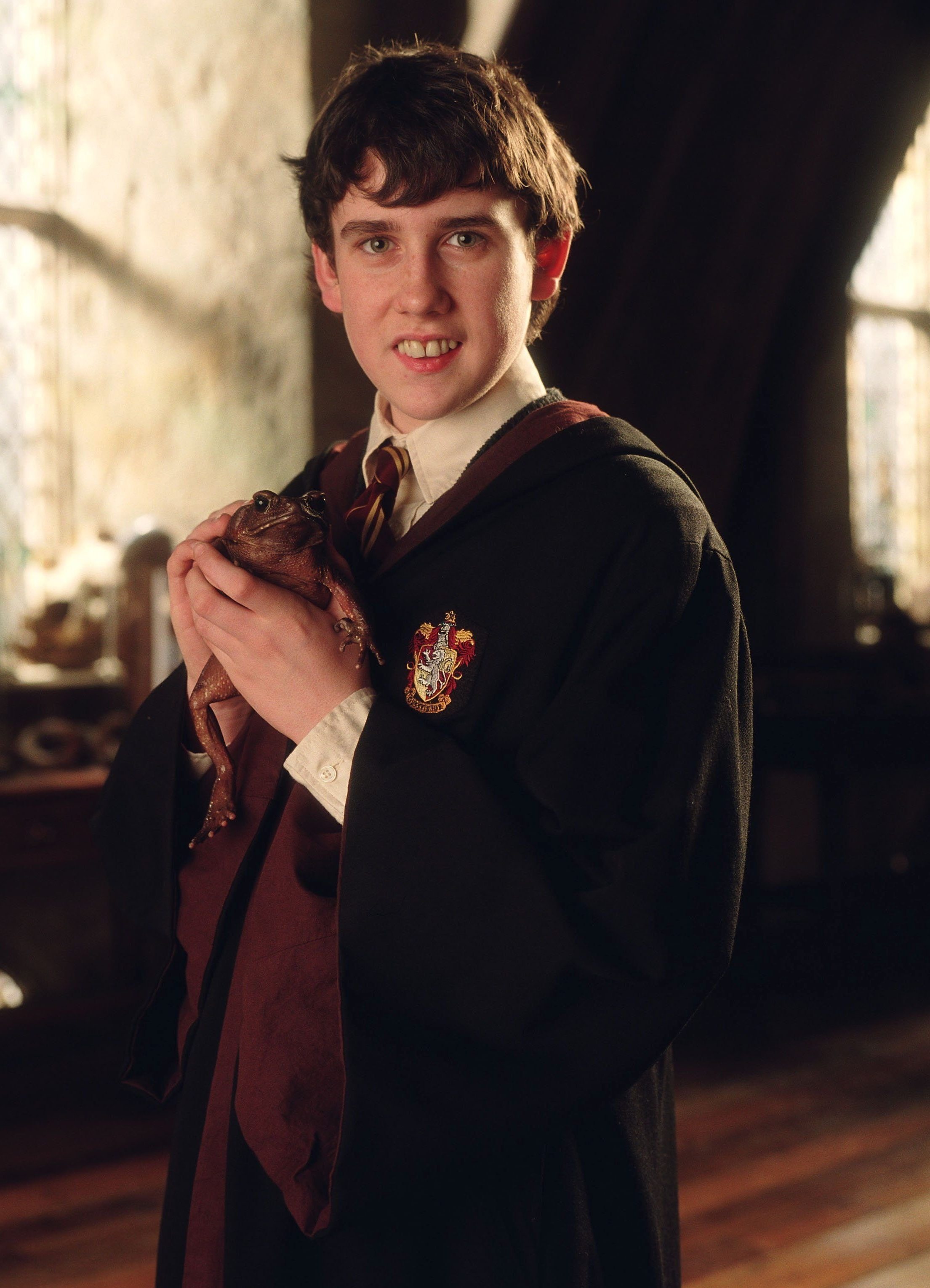 Harry Potter ảnh 9 Harry Potter anh 9