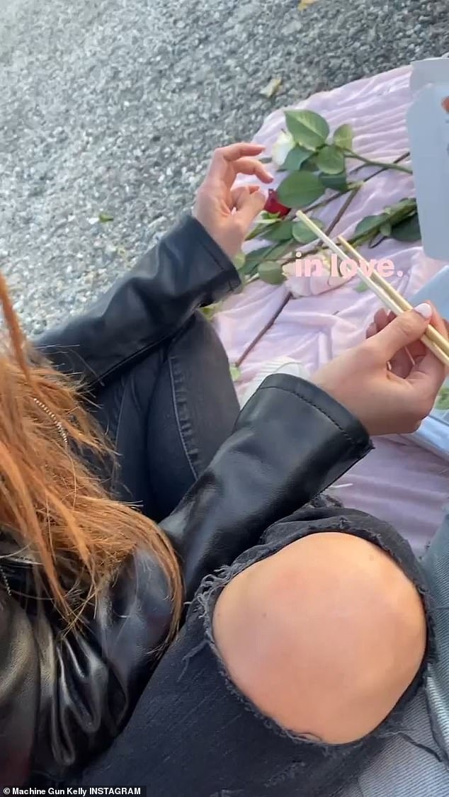 Megan Fox ly hon anh 1