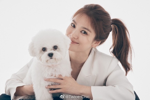 Song Hye Kyo xuất hiện sau ồn ào tình cảm ảnh 2 Song Hye Kyo xuat hien sau on ao tinh cam anh 2