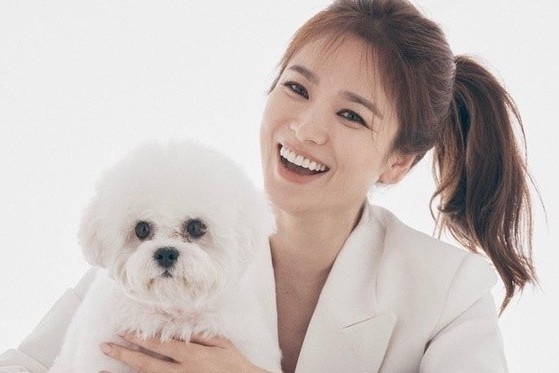 Song Hye Kyo tuoi tan sau on ao tinh cam hinh anh