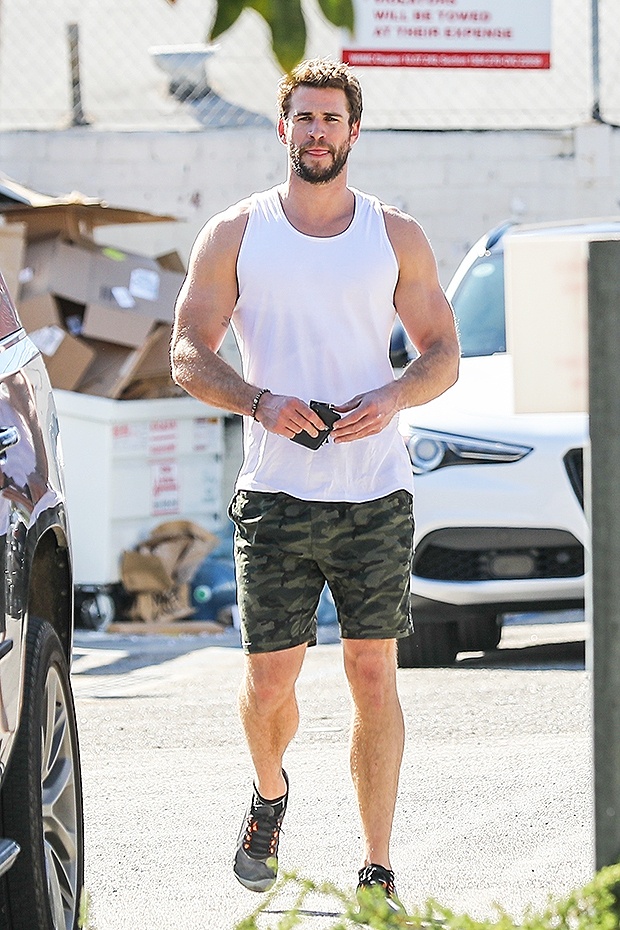 Cach anh em Hemsworth tap luyen anh 6