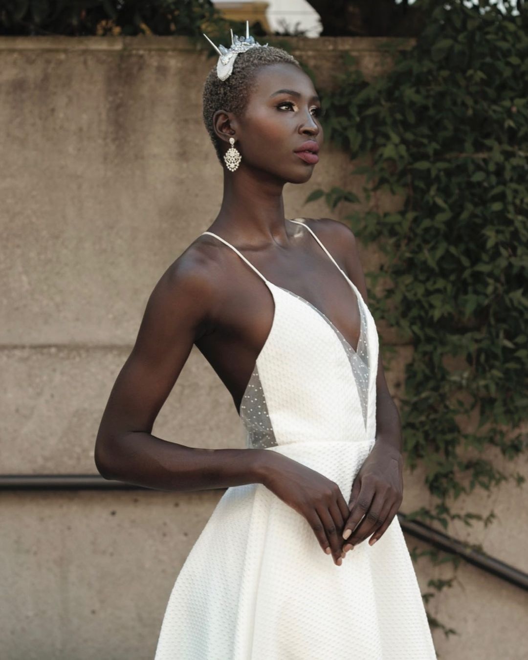 hoa hau Canada anh 6