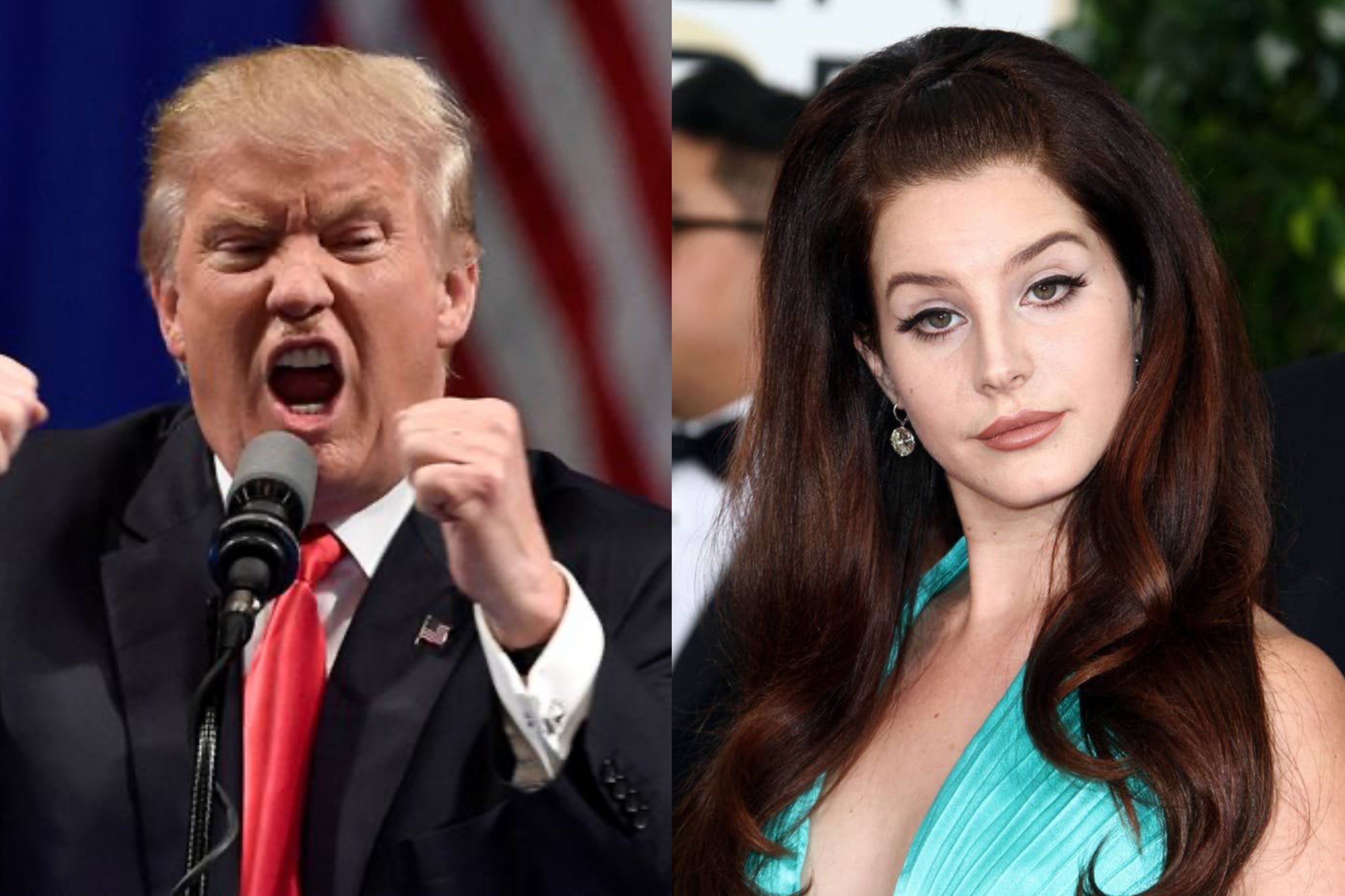 Lana Del Rey mang nguoi ham mo ve chuyen bau cu tong thong hinh anh