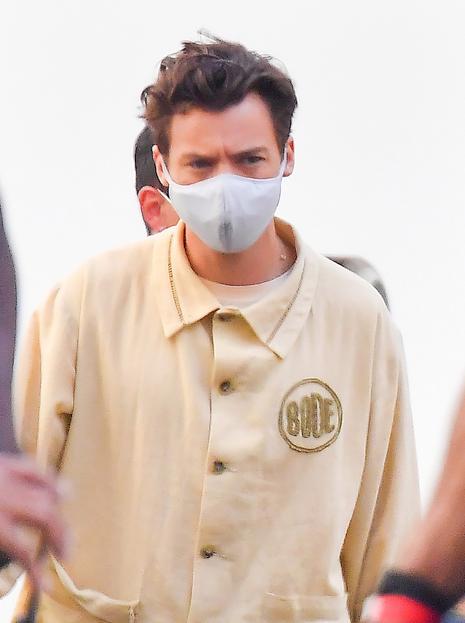 Harry Styles bi cach ly anh 1