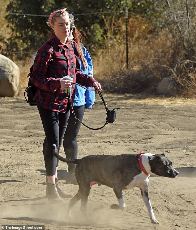 Johnny Depp bi huy vai anh 1