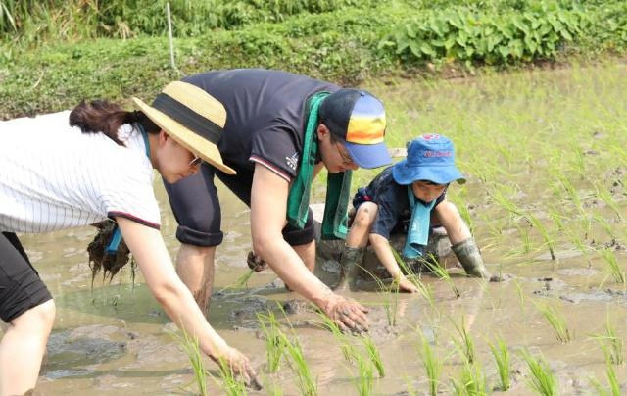 hôn nhân của Quách Tinh Tinh và Hứa Khải Cương ảnh 3 hon nhan cua Quach Tinh Tinh va Hua Khai Cuong anh 3