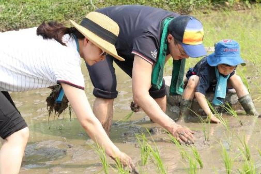 Cuoc song binh di cua Quach Tinh Tinh va chong dai gia hinh anh