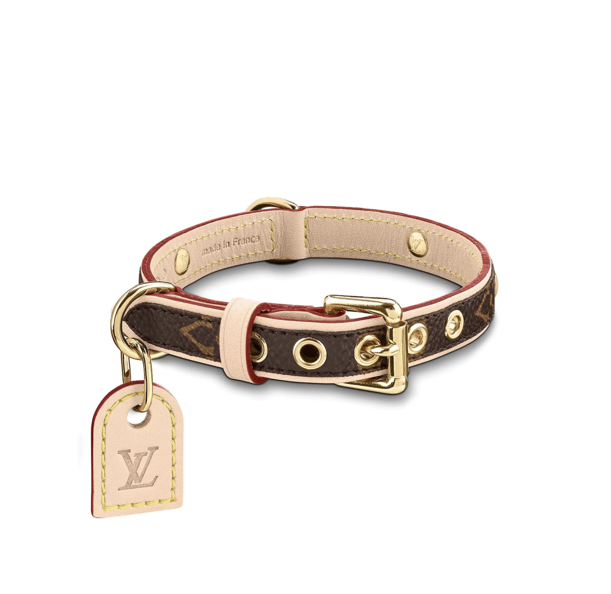 Rose anh huong nguoi ham mo anh 7