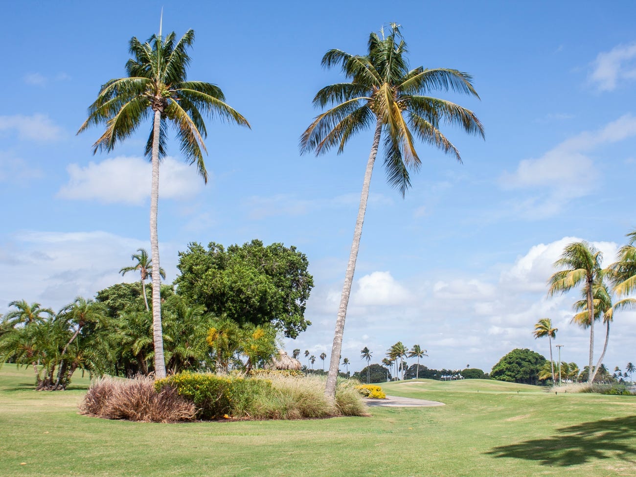 nơi ở của những ngôi sao nổi tiếng ảnh 5 noi o cua nhung ngoi sao noi tieng anh 5