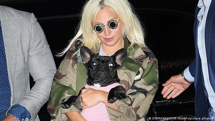 Lady Gaga mat thu cung anh 2