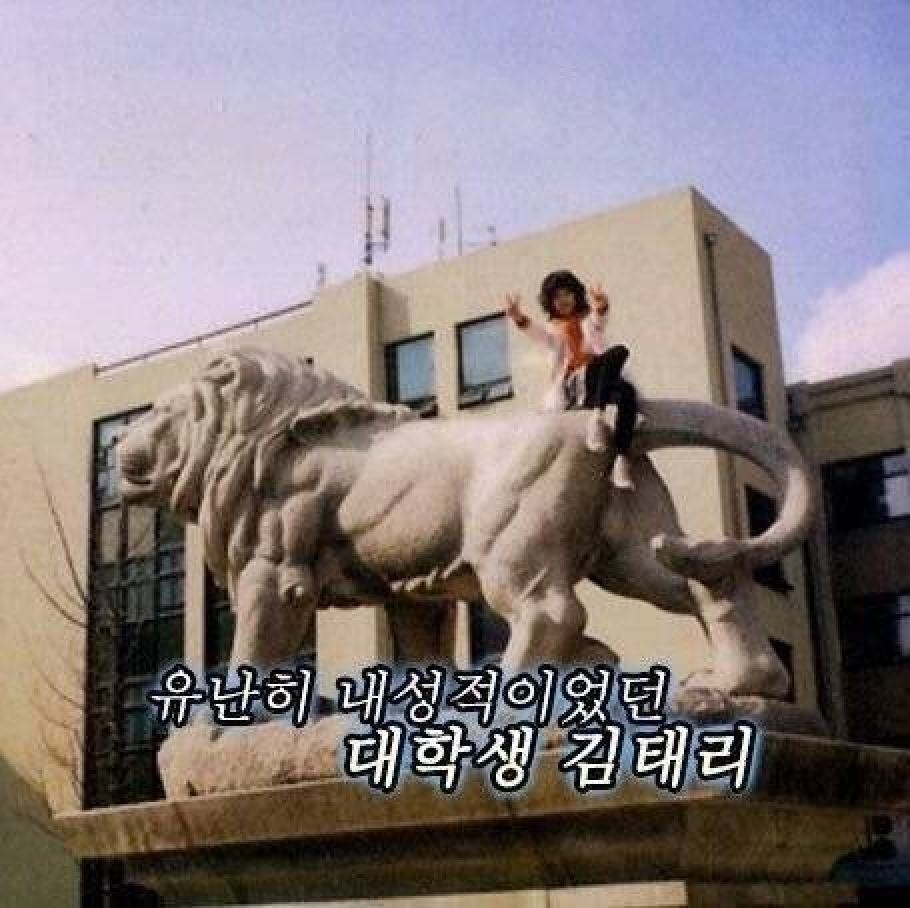 sao Han thoi dai hoc anh 5