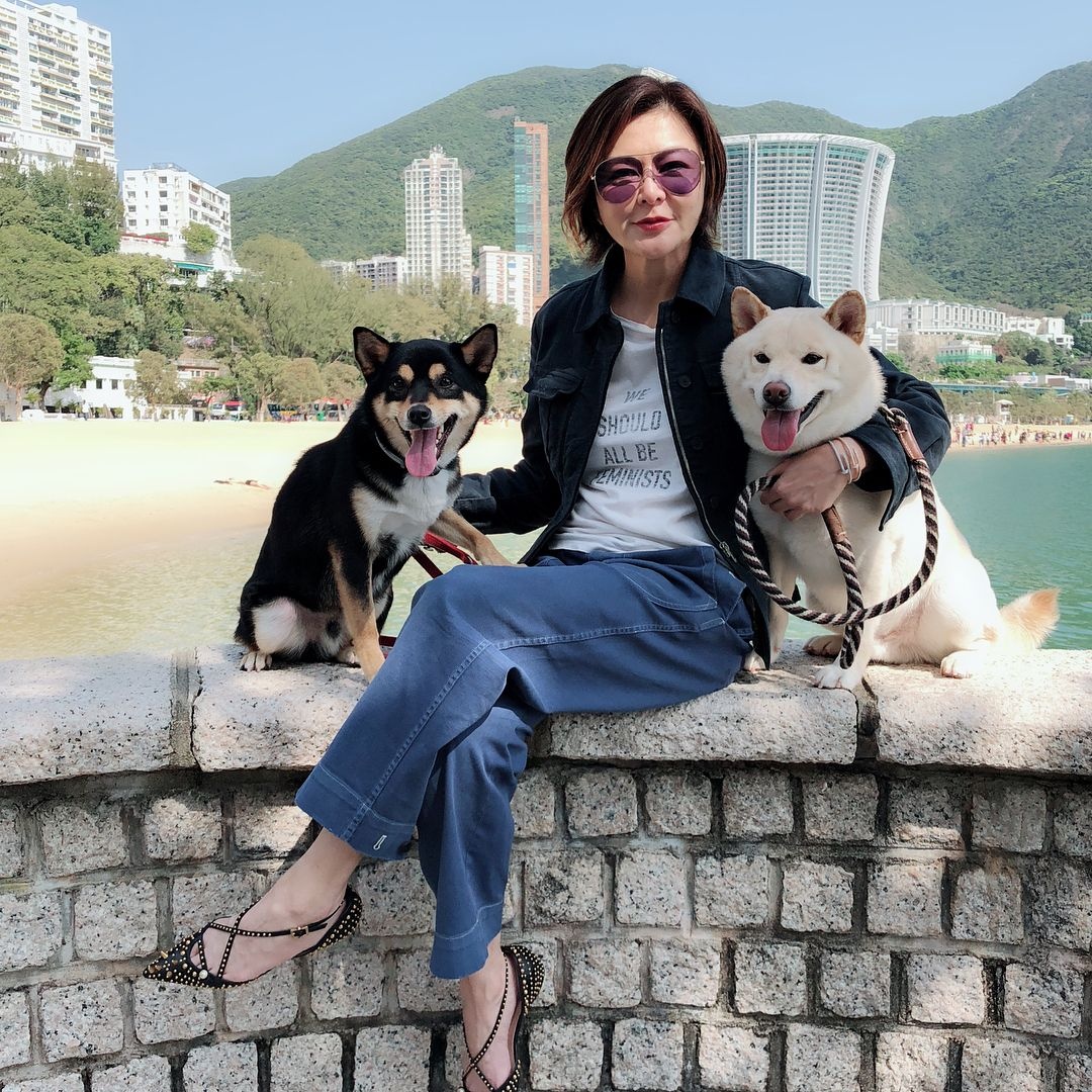 tai san cua Quan Chi Lam anh 9