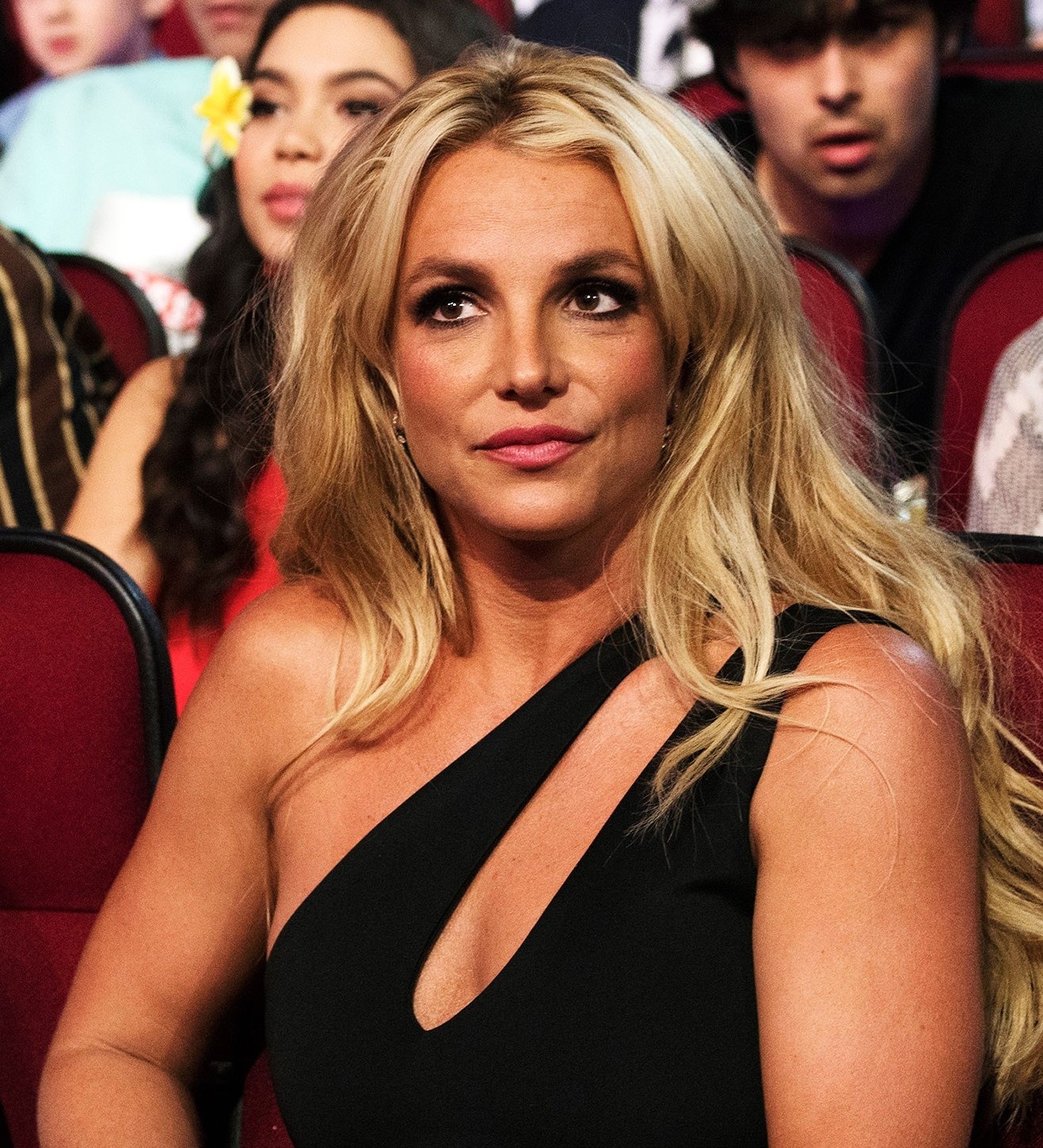 quyen giam ho cua Britney Spears anh 1