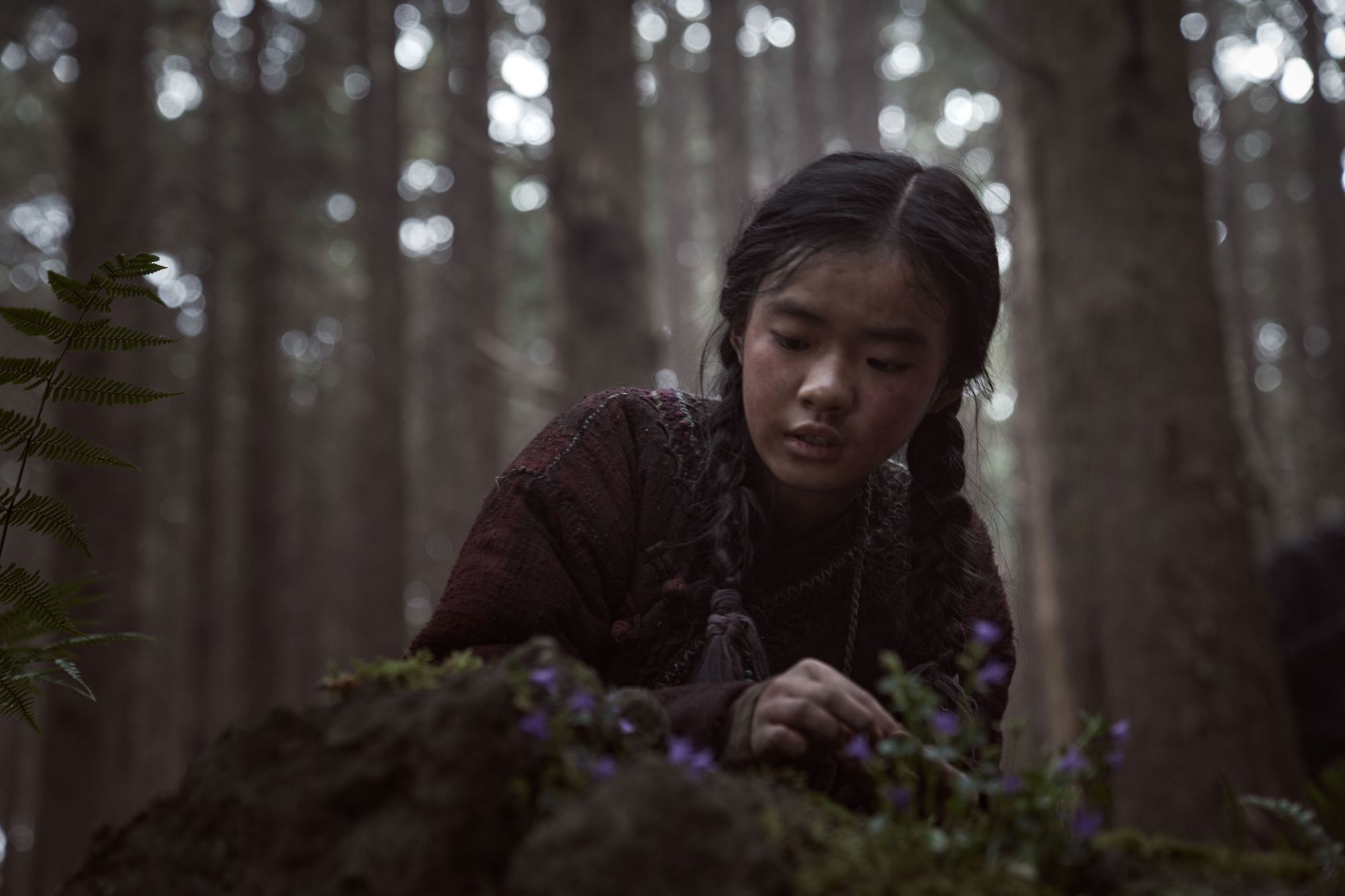 sao nhi trong Ashin of the North anh 3