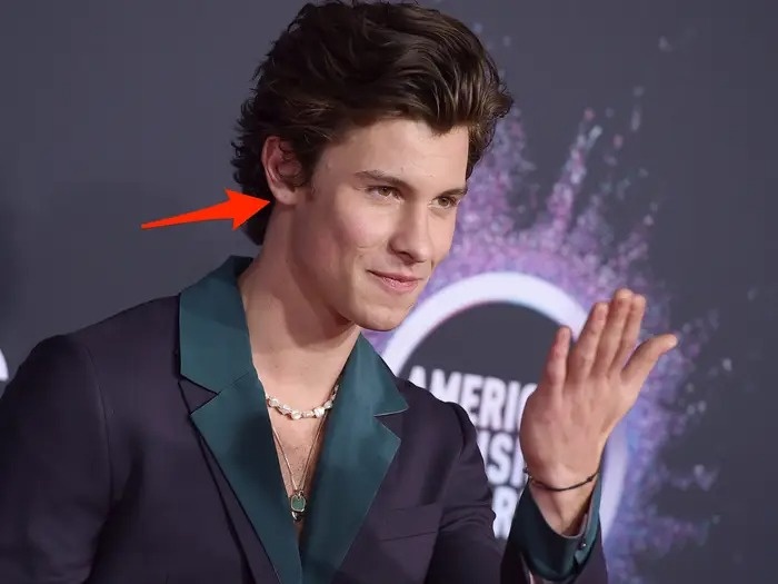 Hinh xam cua Shawn Mendes anh 6