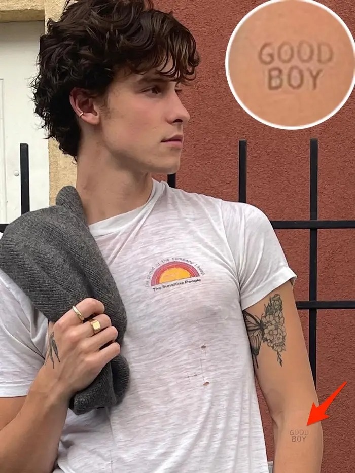 Hinh xam cua Shawn Mendes anh 7