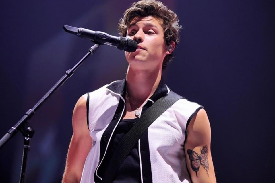 Dang sau 14 hinh xam cua Shawn Mendes hinh anh