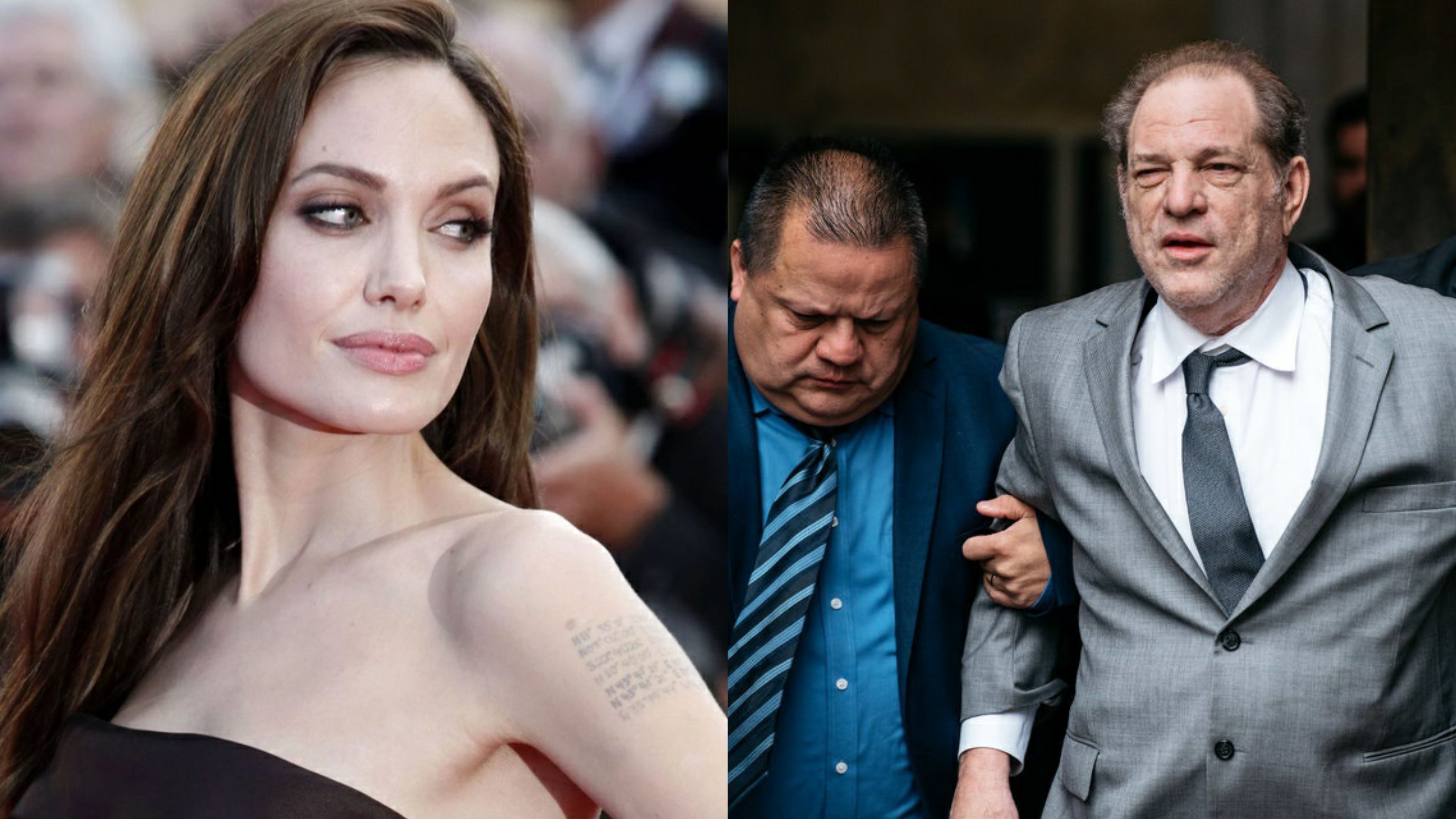 Harvey Weinstein chi trich Angelina Jolie anh 1