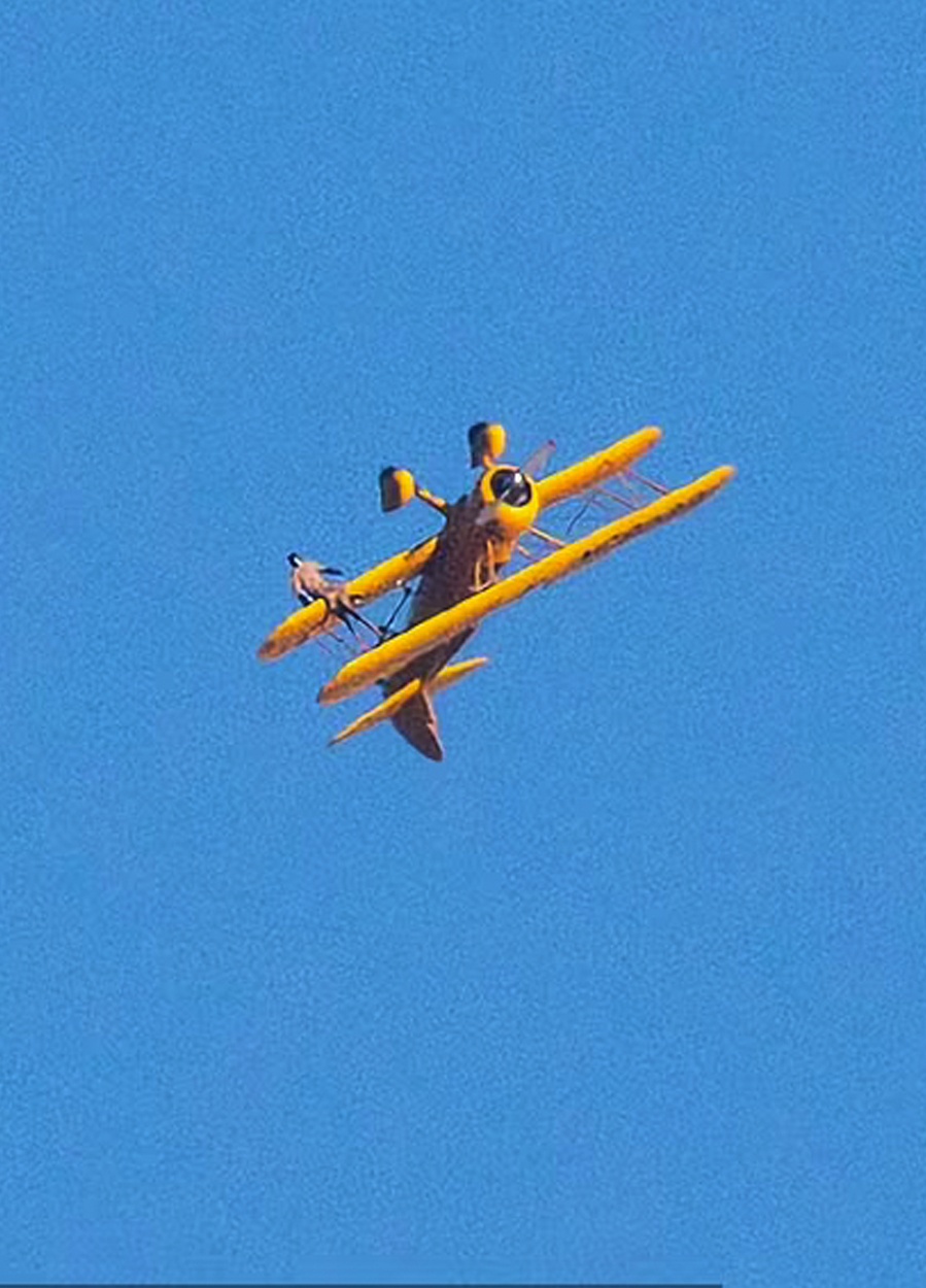 Tom Cruise đu cánh máy bay ảnh 2 Tom Cruise du canh may bay anh 2