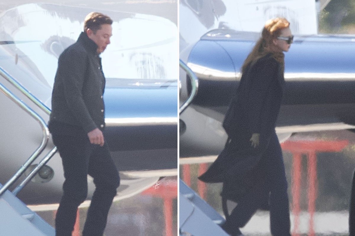 ban gai moi cua Elon Musk anh 1