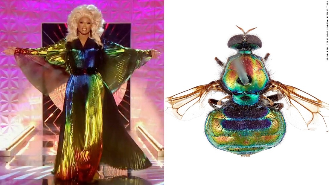 Taylor Swift duoc dat ten cho loai cuon chieu anh 2