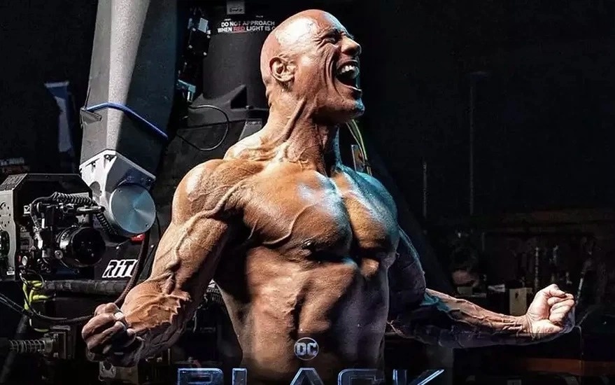 Ngoi sao giau nhat loat phim 'Fast & Furious' hinh anh