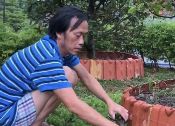 Vuon mai o nha tho To cua Hoai Linh hinh anh