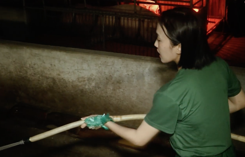 Nam Thu, Dieu Nhi bi phat don chuong heo hinh anh