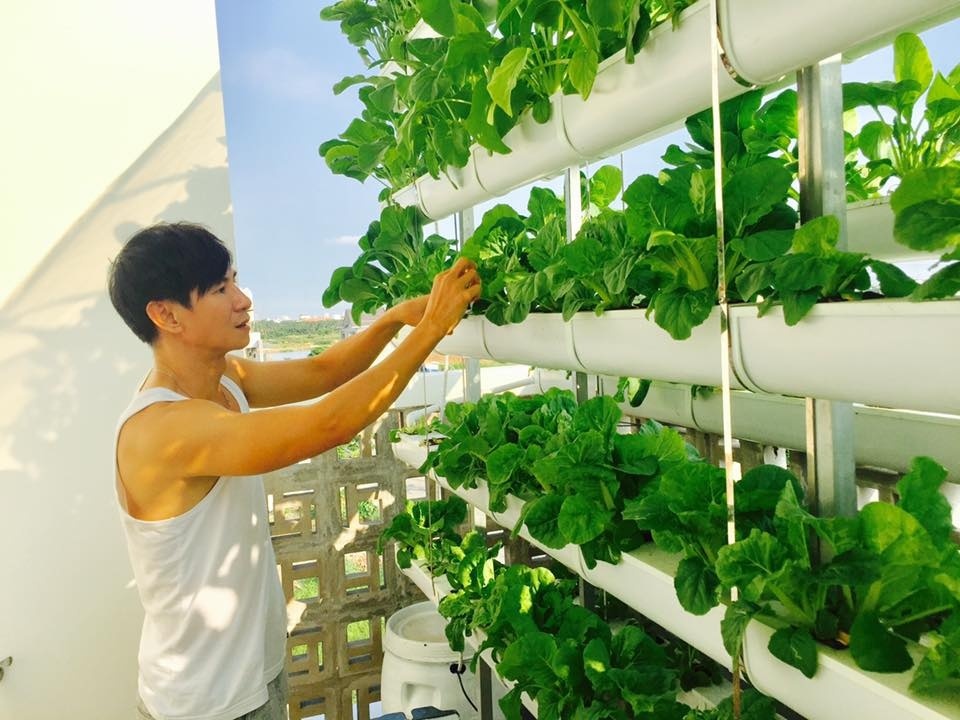 Vuon rau va trai cay cua Ly Hai, Minh Hang hinh anh